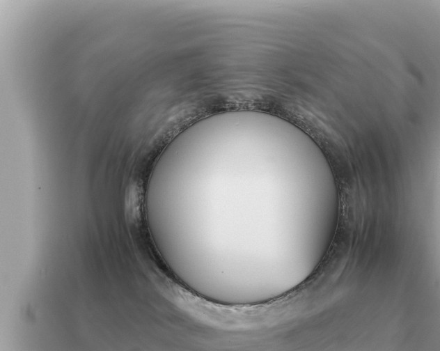 X0000115140038200911101717