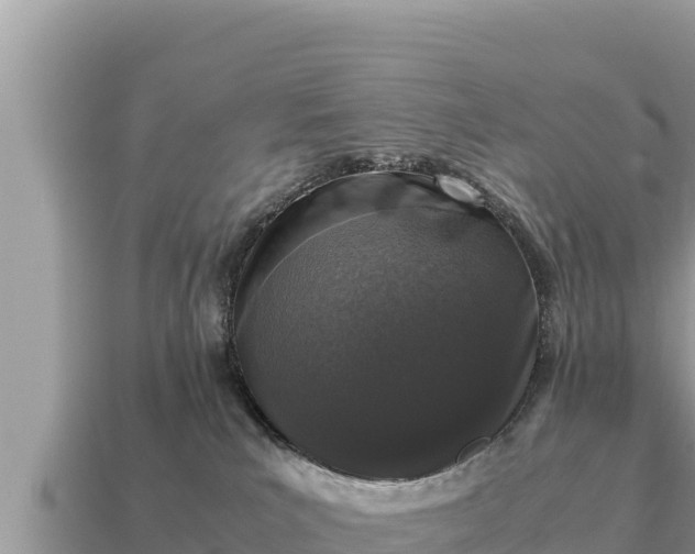 X0000115140039200911101717