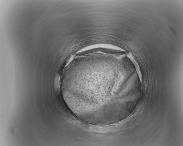 X0000115140041200911101717