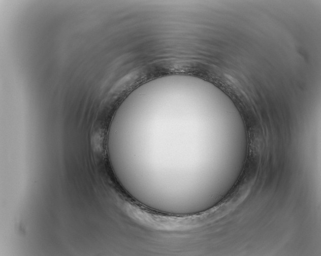X0000115140044200911101717