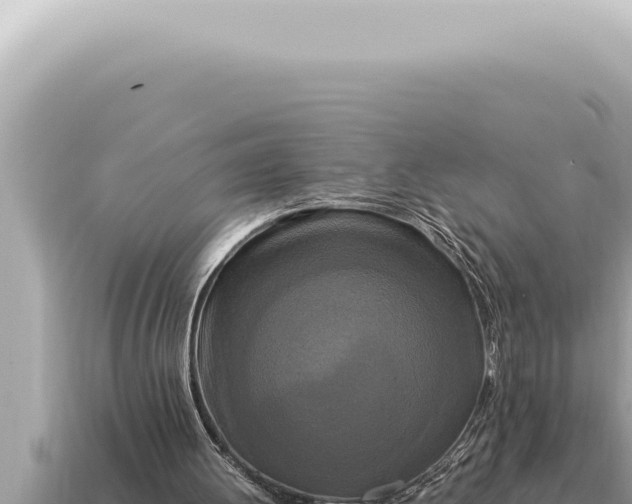 X0000115140052200911101716