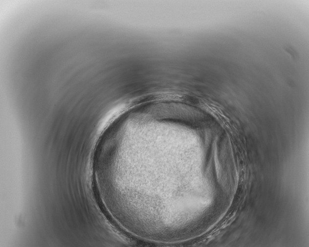X0000115140053200911101716