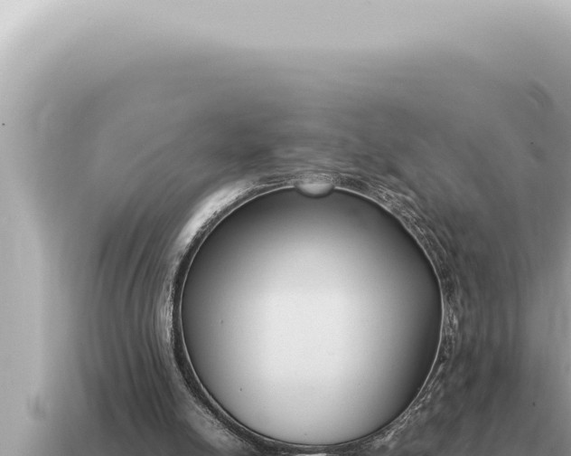 X0000115140054200911101716