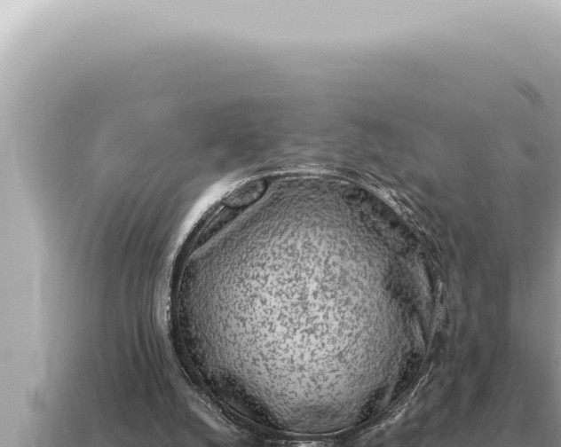 X0000115140056200911101716