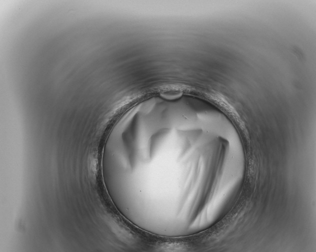 X0000115140063200911101716