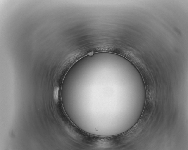 X0000115140070200911101716