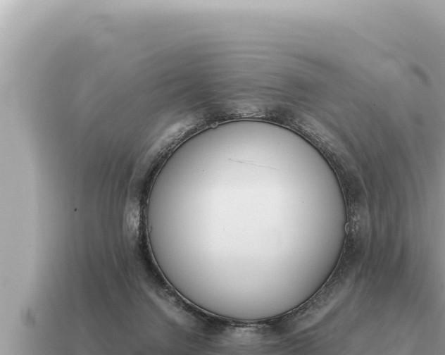 X0000115140072200911101716