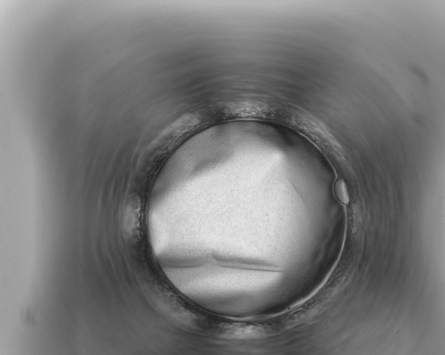 X0000115140073200911101716