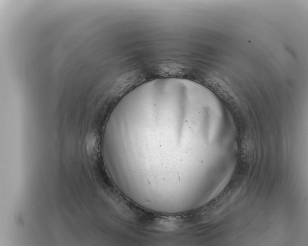 X0000115140079200911101716