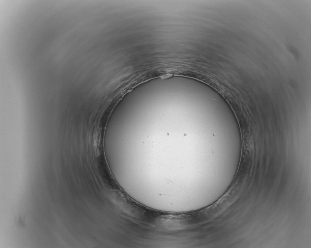 X0000115140082200911101717