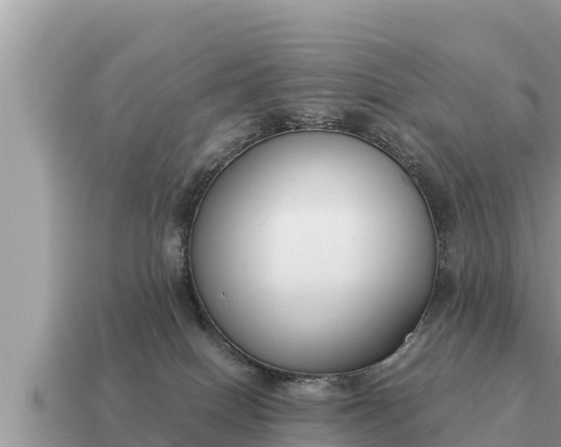 X0000115140086200911101717