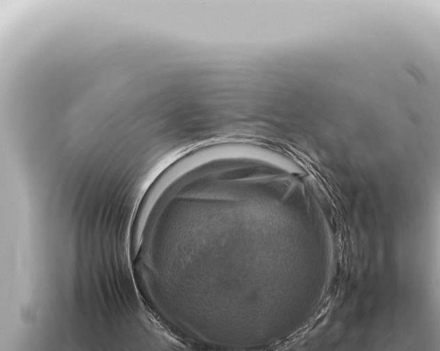 X0000115140100200911101716