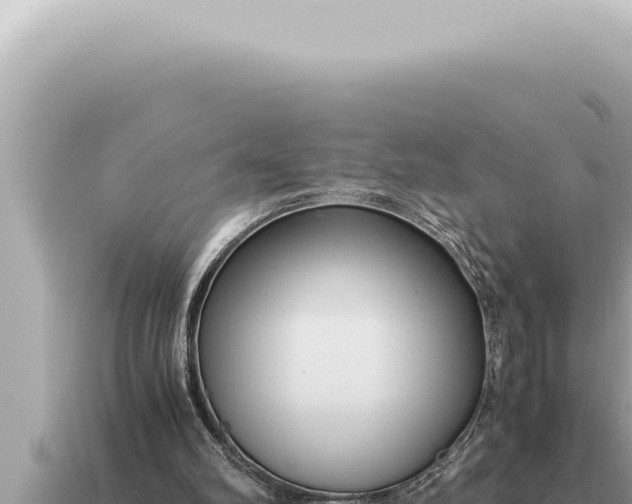 X0000115140102200911101716
