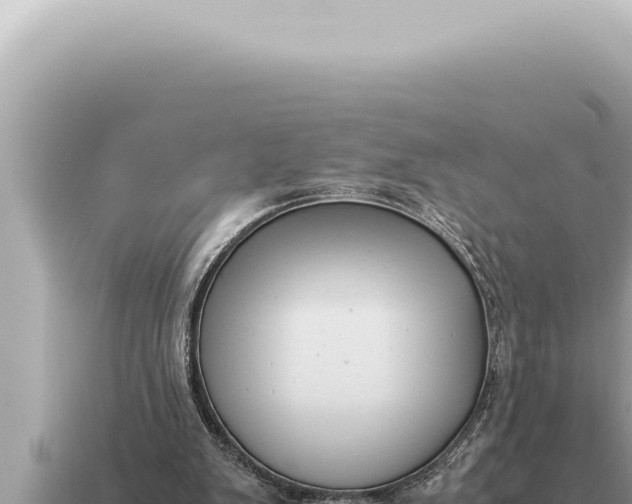 X0000115140103200911101716