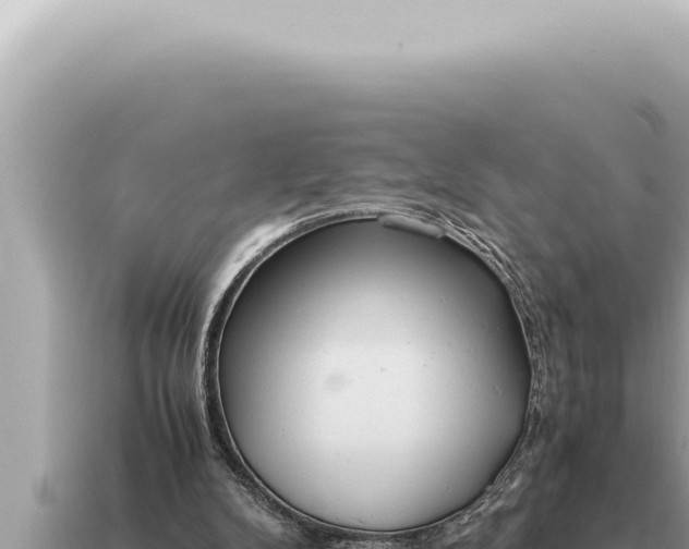 X0000115140104200911101716