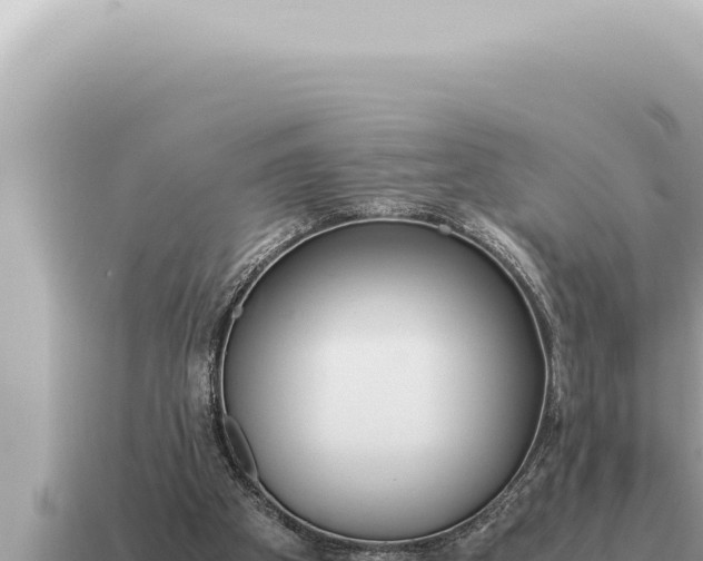 X0000115140105200911101716