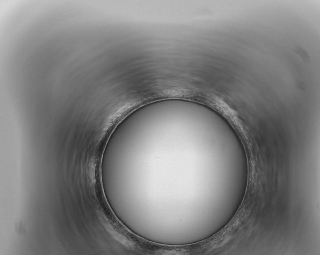 X0000115140106200911101716