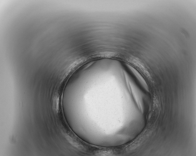 X0000115140110200911101716