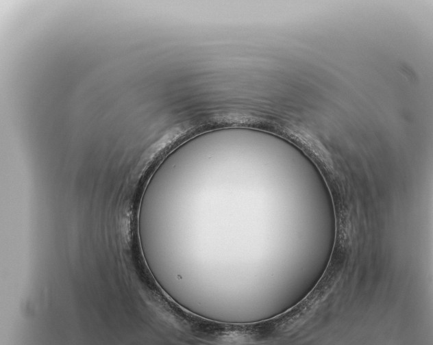 X0000115140111200911101716