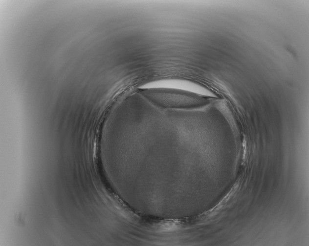 X0000115140124200911101716