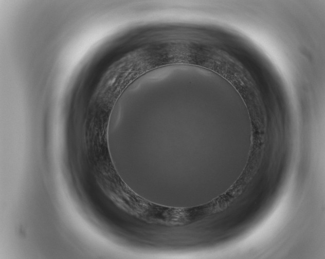 X0000115140143200911101715