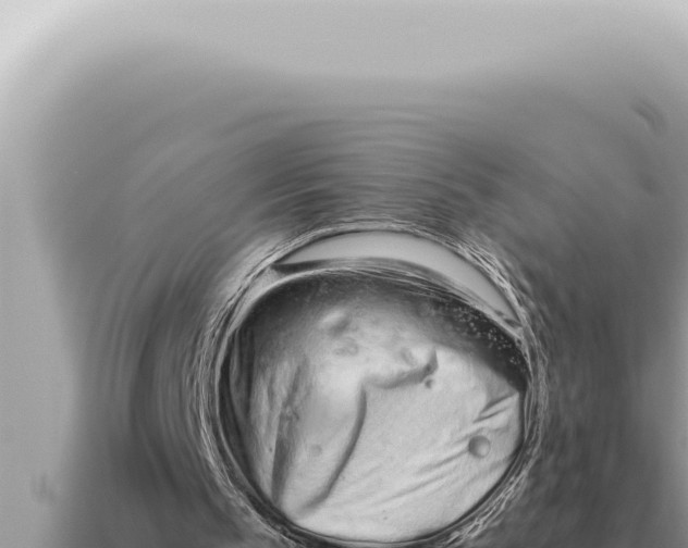X0000115140145200911101715