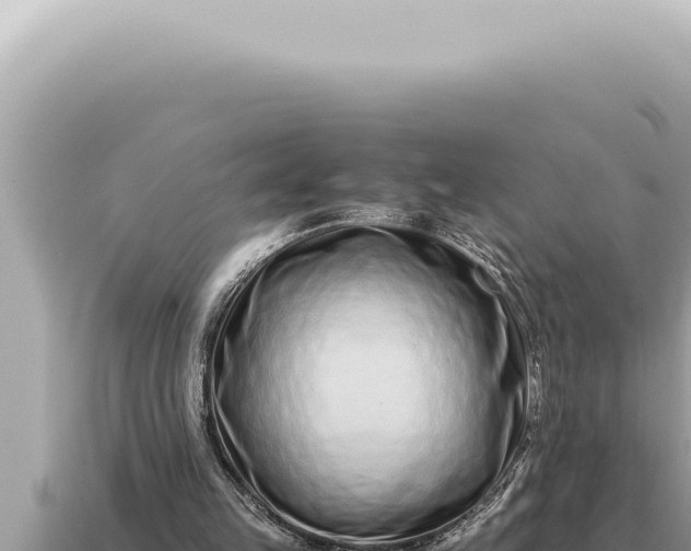 X0000115140149200911101715