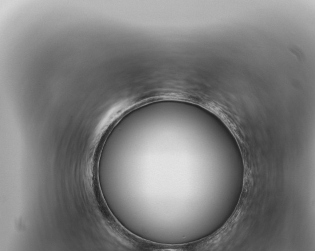 X0000115140151200911101715