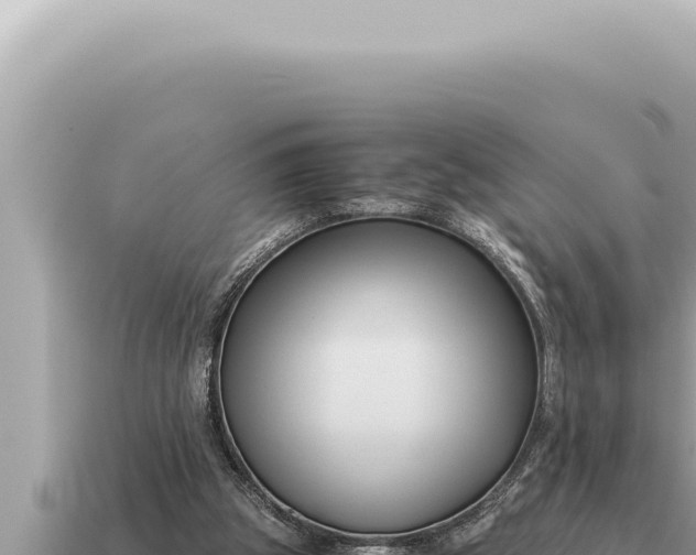 X0000115140153200911101715