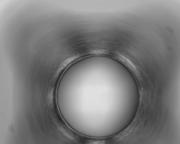 X0000115140155200911101715