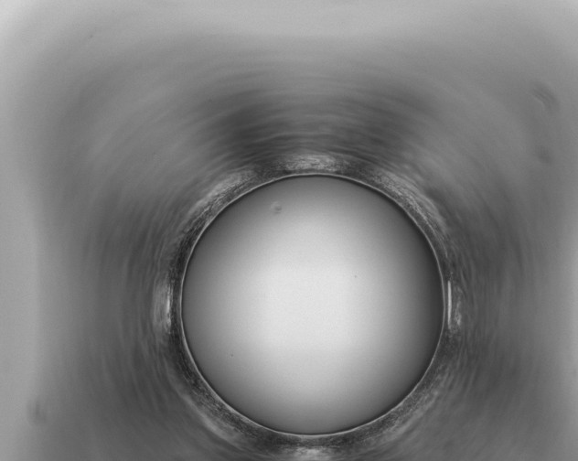 X0000115140157200911101715