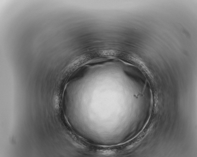 X0000115140161200911101715
