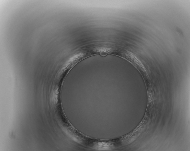 X0000115140163200911101715