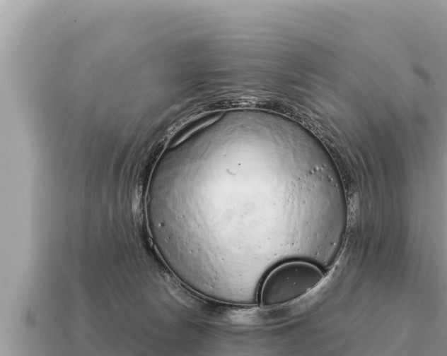 X0000115140178200911101715