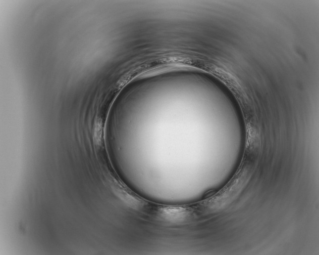 X0000115140189200911101715