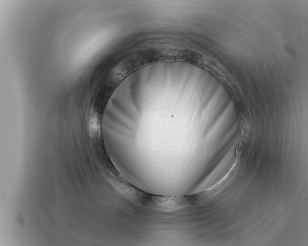 X0000115140191200911101715