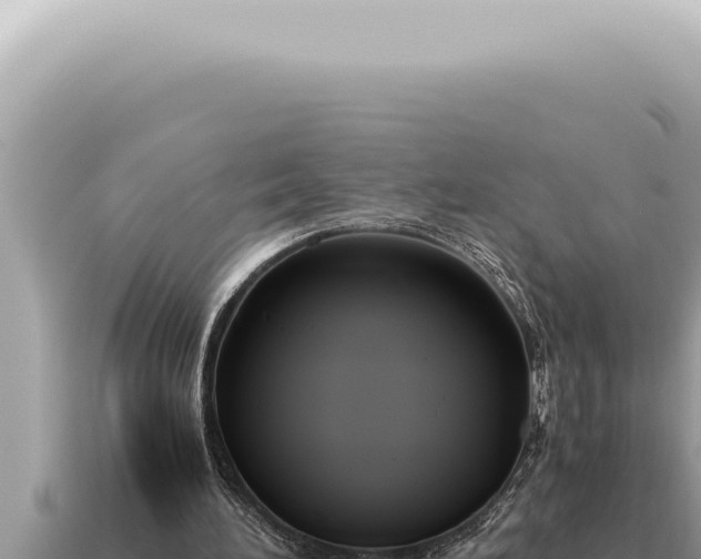 X0000115140196200911101715