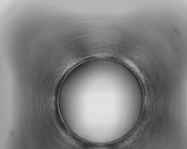 X0000115140201200911101715