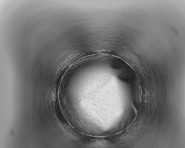 X0000115140210200911101714