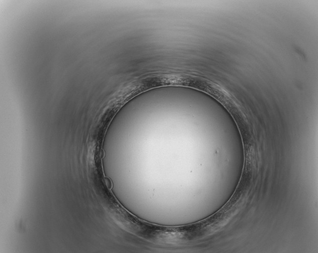 X0000115140217200911101714