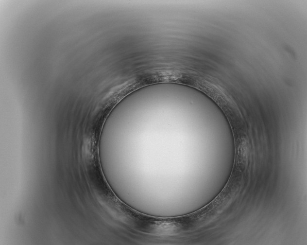 X0000115140218200911101714