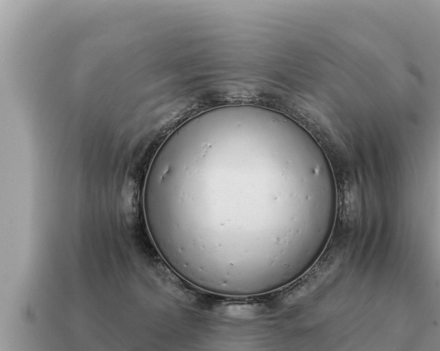 X0000115140228200911101714
