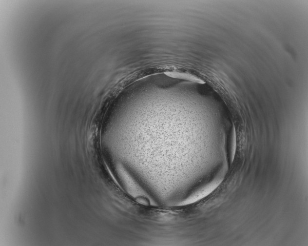 X0000115140229200911101714