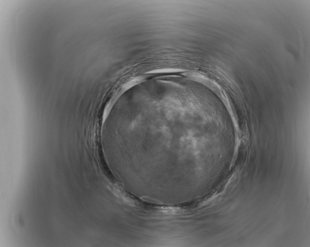 X0000115140233200911101714