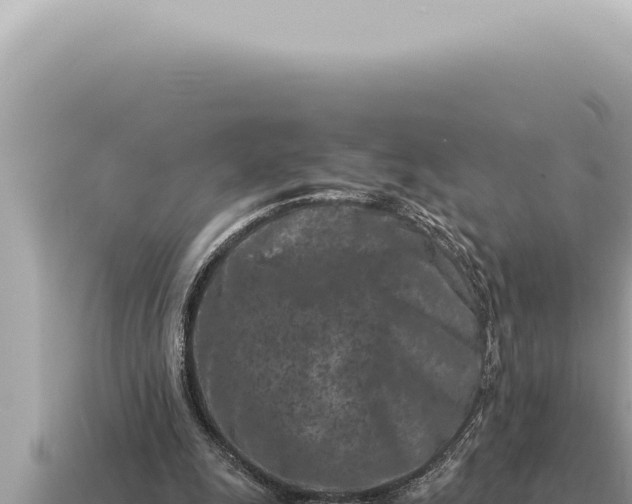 X0000115140247200911101713