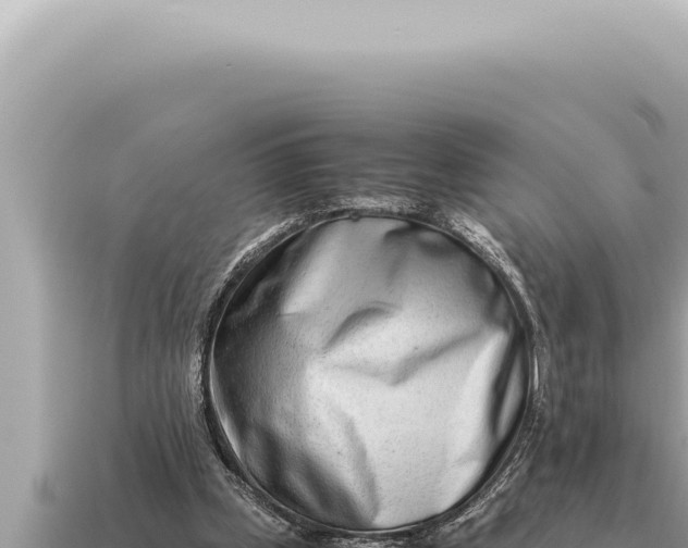 X0000115140249200911101713