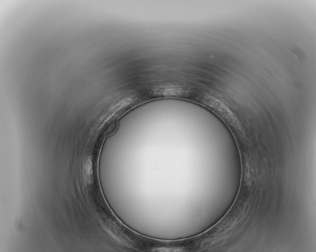 X0000115140251200911101713