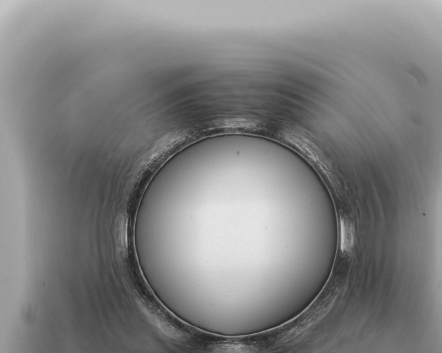 X0000115140253200911101713