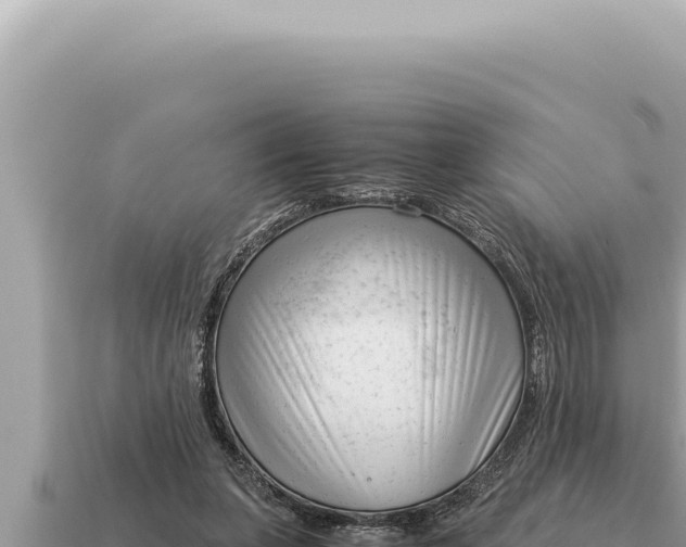 X0000115140255200911101713
