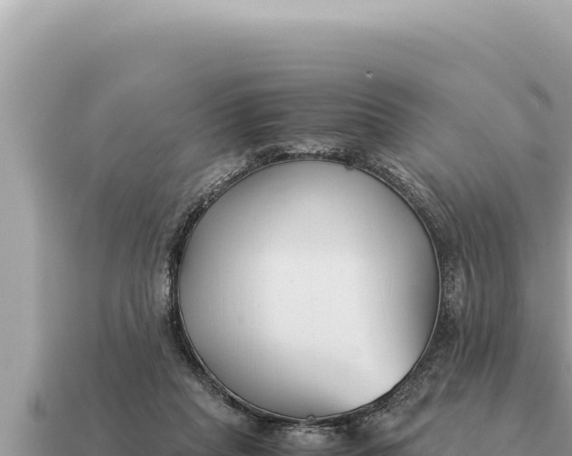 X0000115140261200911101713